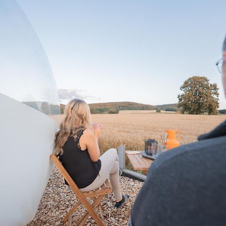 Bubble Tent Altmuehltal Greding Zewnętrze zdjęcie